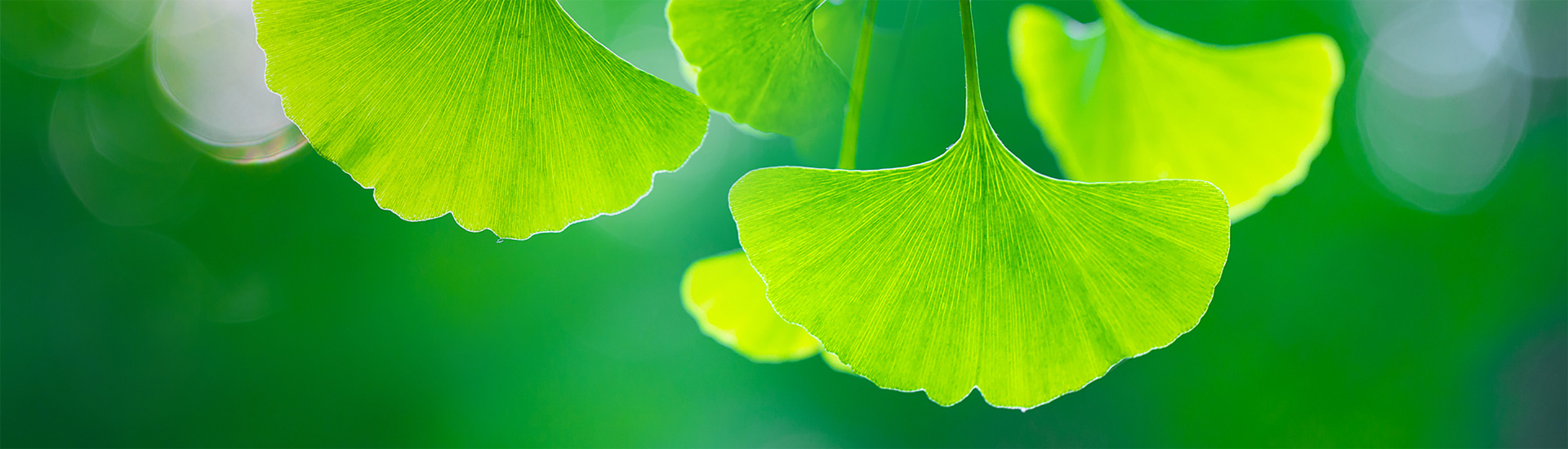 关于3133cc拉斯维加斯