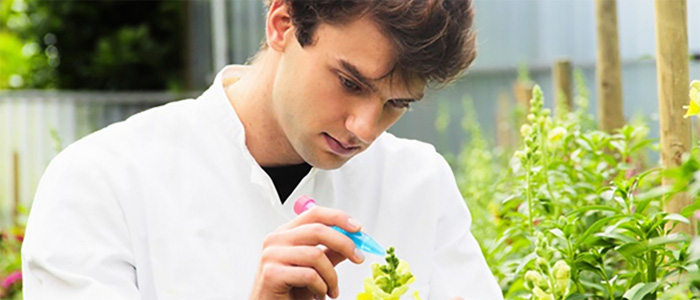 中药质量节造技术平台